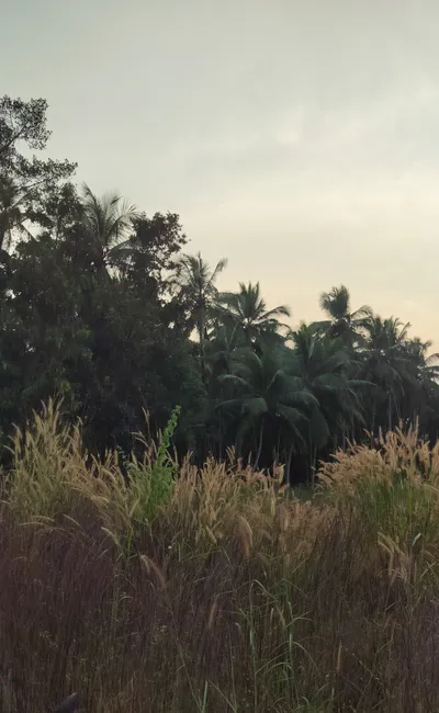 Day 1: Evening start